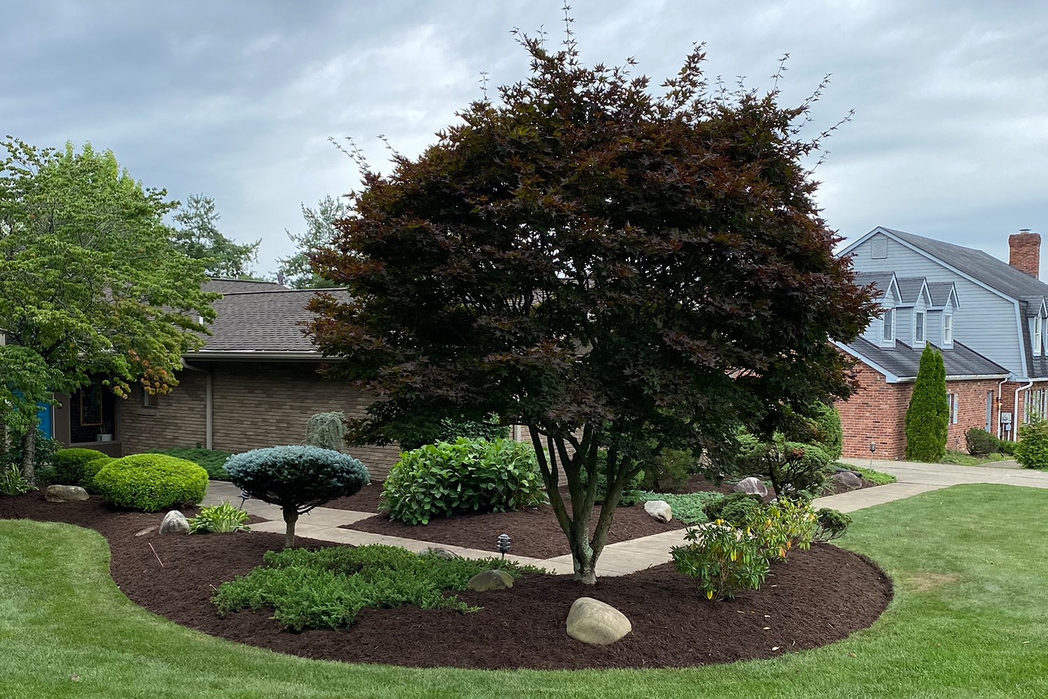 house entryway landscaping with trees and bushes