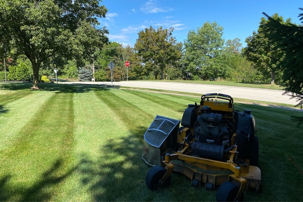 lawn care mowing