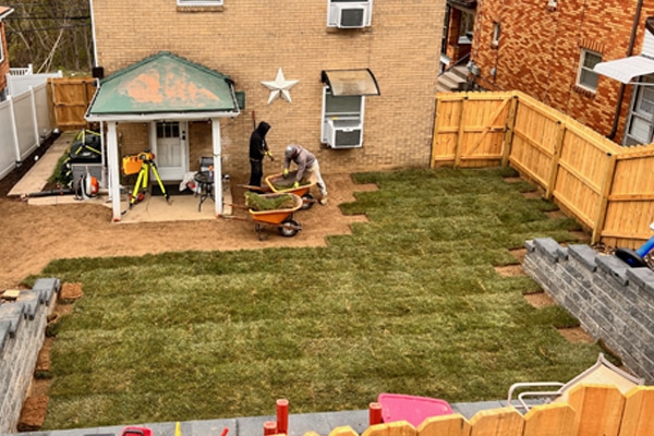 lawn or sod installation