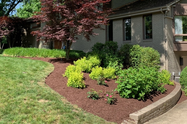 garden bed with mulch