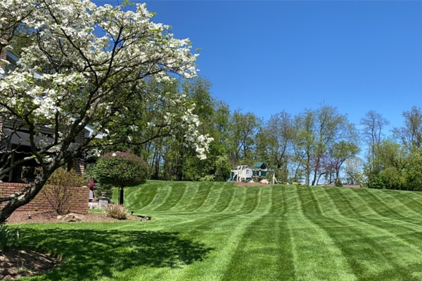 weekly mowing on large yard